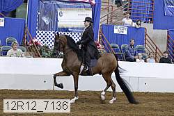 12r12_7136 proof