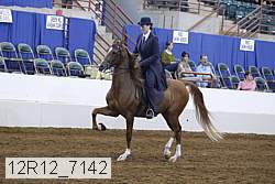 12r12_7142 proof