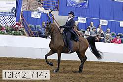 12r12_7147 proof