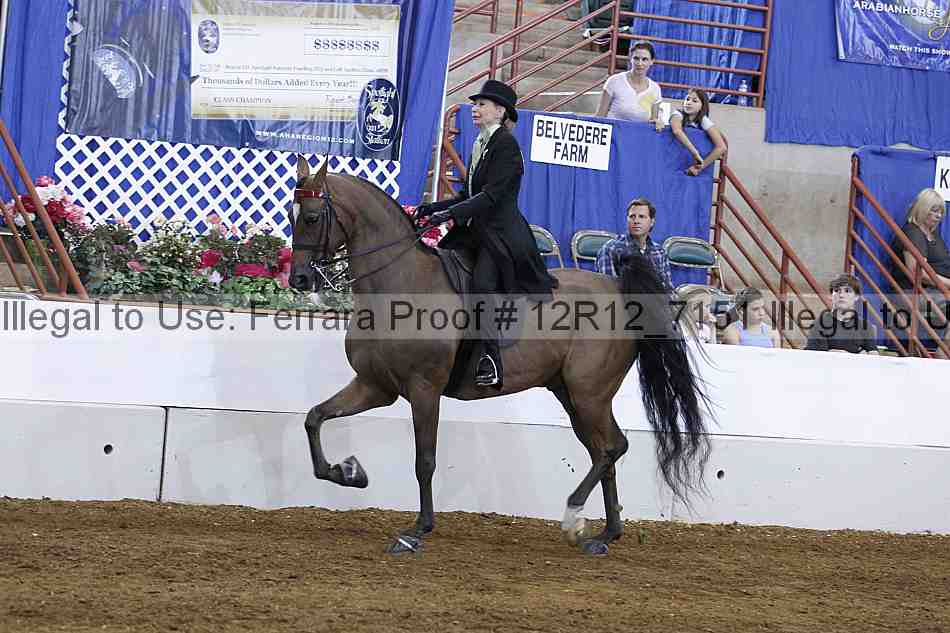 Proof 12r12_7151