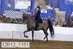 12r12_7151 proof