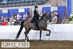 12r12_7161 proof