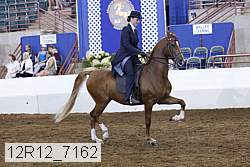 12r12_7162 proof