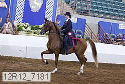 12r12_7181 proof