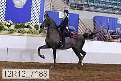 12r12_7183 proof