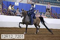 12r12_7201 proof
