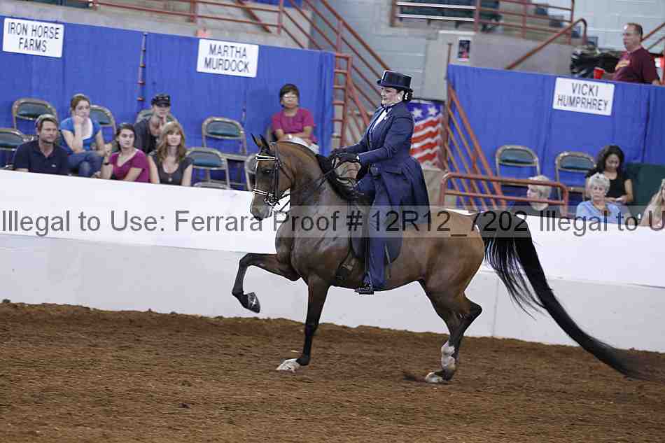 Proof 12r12_7202