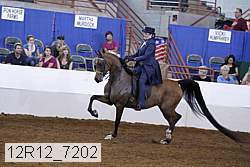12r12_7202 proof