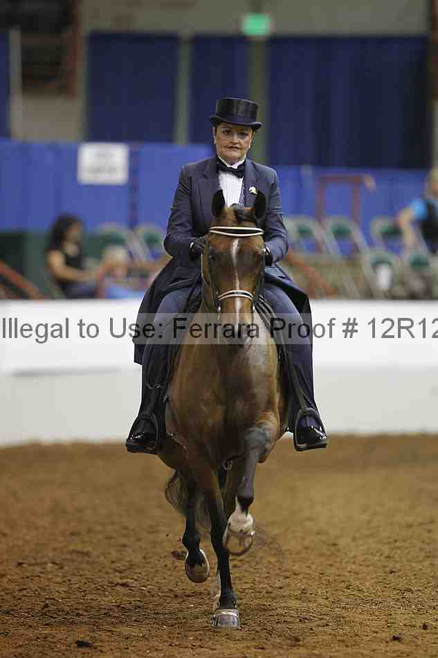 Proof 12r12_7203
