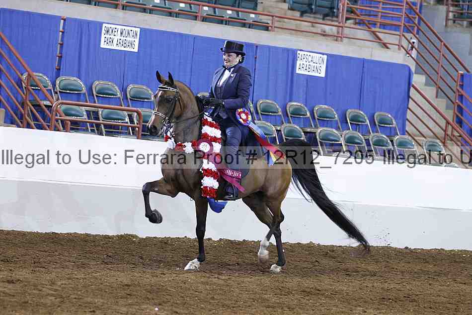Proof 12r12_7205