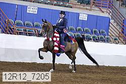 12r12_7205 proof