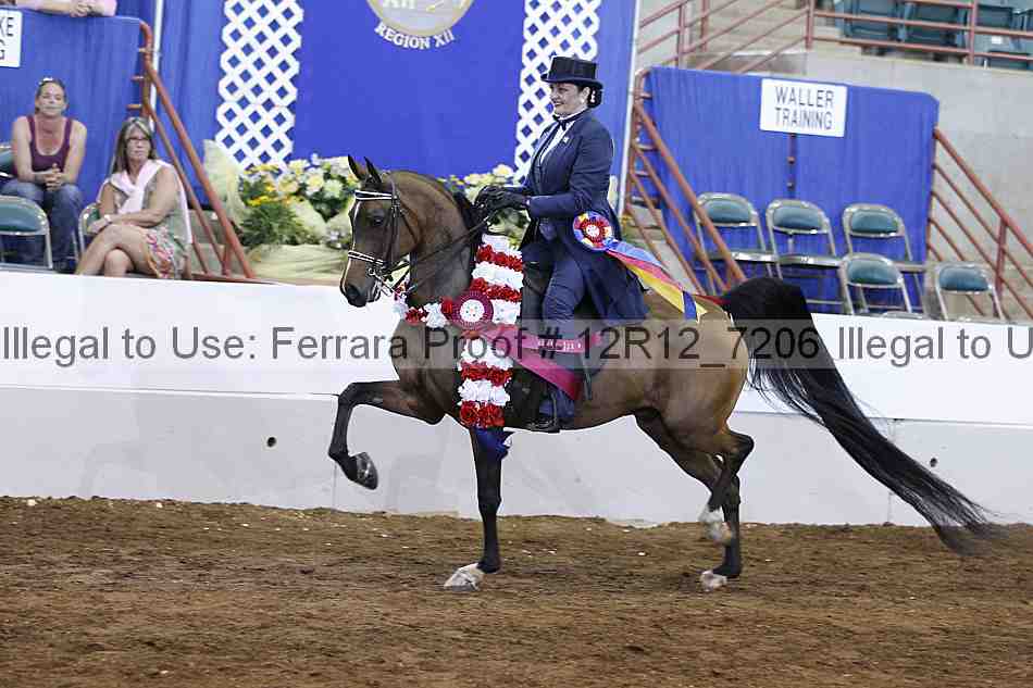 Proof 12r12_7206