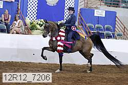 12r12_7206 proof