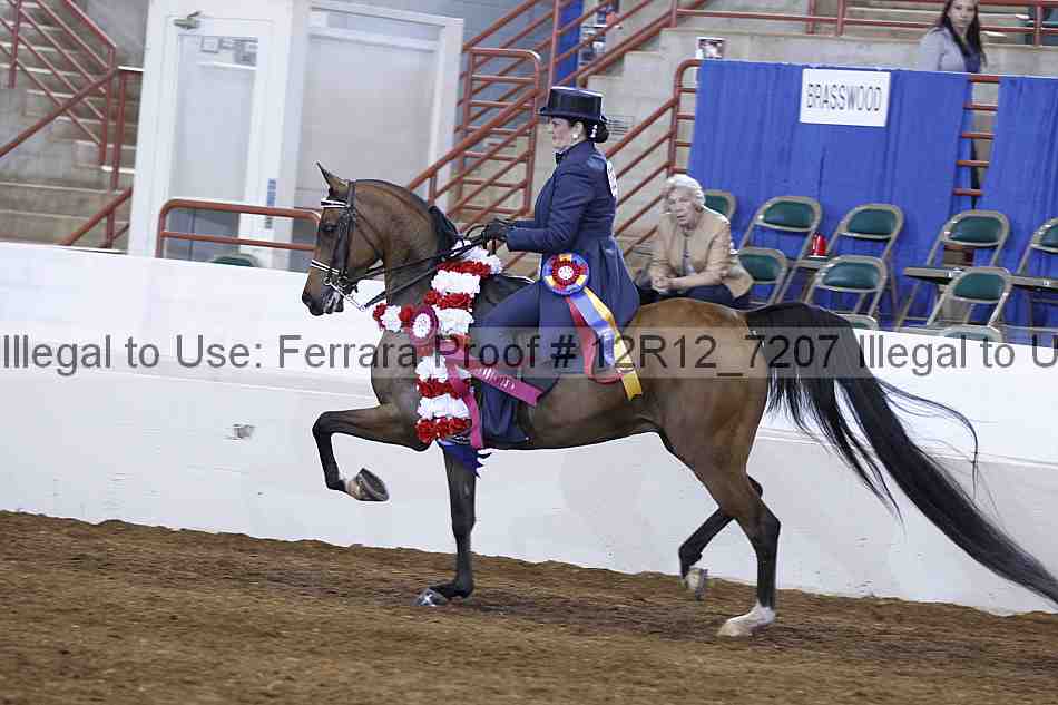 Proof 12r12_7207