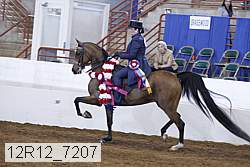 12r12_7207 proof