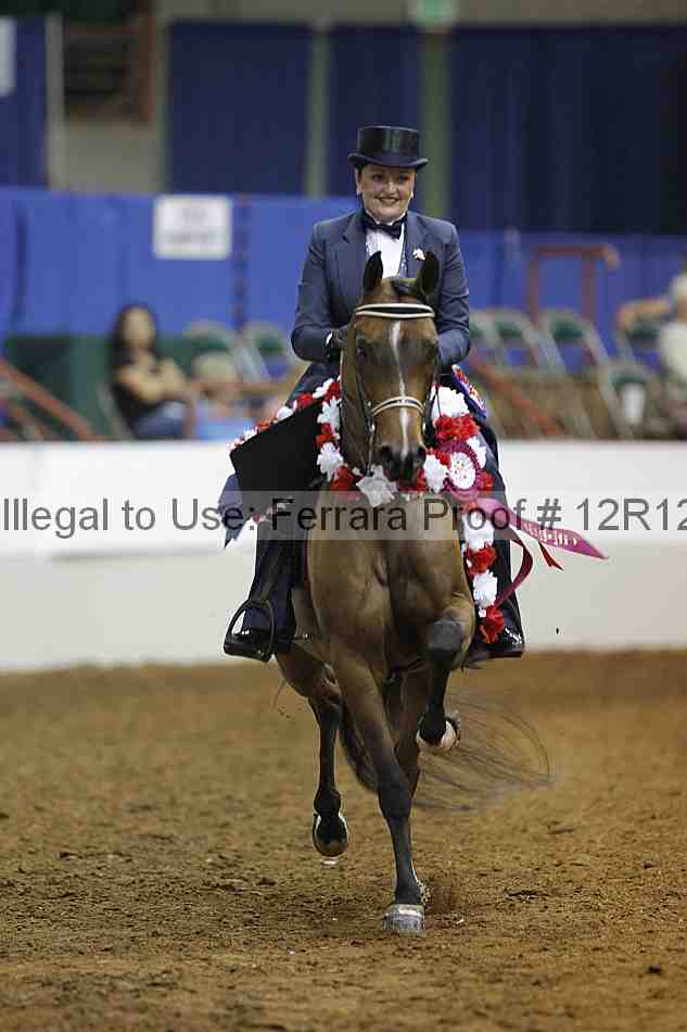 Proof 12r12_7209