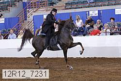12r12_7231 proof