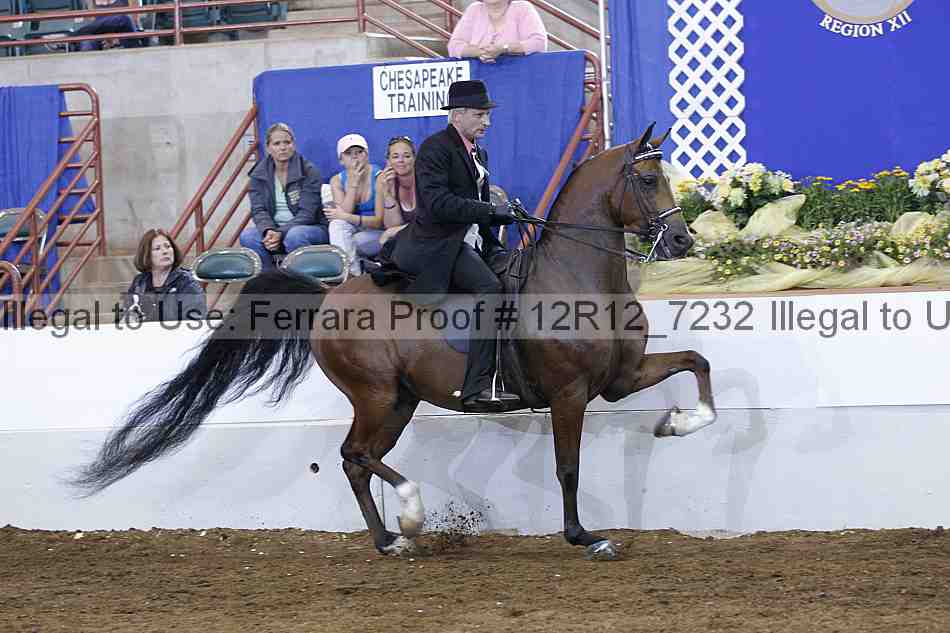 Proof 12r12_7232