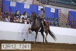 12r12_7241 proof