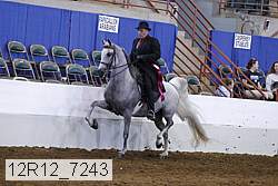 12r12_7243 proof