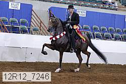 12r12_7246 proof
