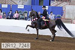 12r12_7248 proof