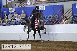 12r12_7251 proof