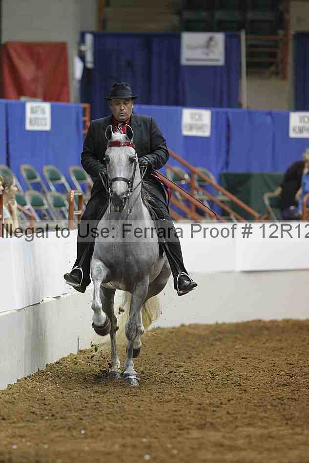 Proof 12r12_7252