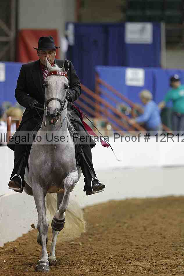 Proof 12r12_7253