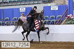 12r12_7254 proof