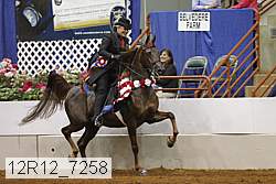 12r12_7258 proof