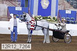 12r12_7264 proof