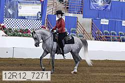 12r12_7271 proof