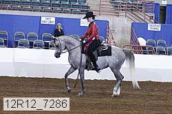 12r12_7286 proof