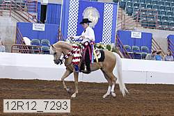 12r12_7293 proof