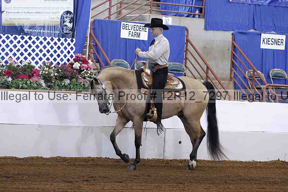 Proof 12r12_7297