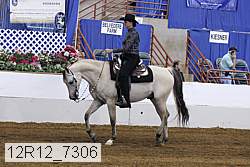 12r12_7306 proof