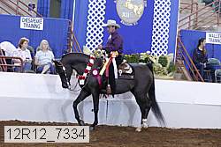 12r12_7334 proof