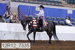 12r12_7335 proof