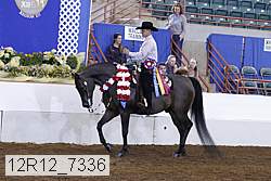 12r12_7336 proof