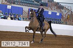 12r12_7341 proof