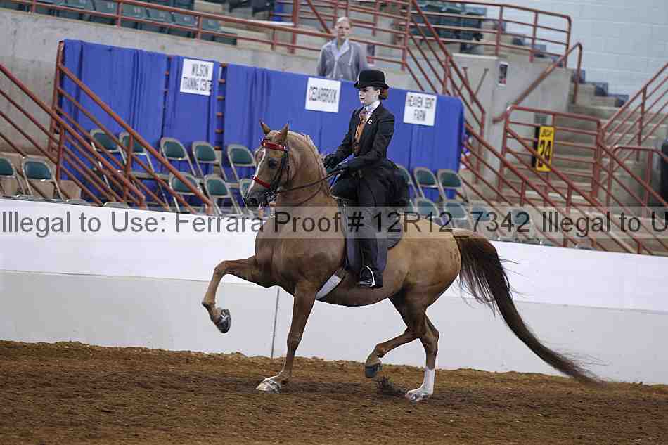 Proof 12r12_7342