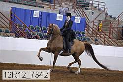 12r12_7342 proof