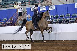 12r12_7351 proof