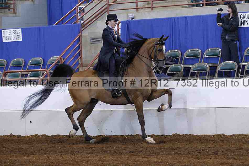 Proof 12r12_7352
