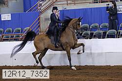 12r12_7352 proof