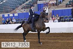 12r12_7353 proof