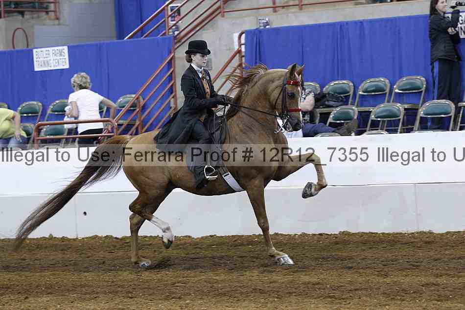 Proof 12r12_7355