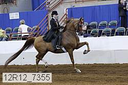 12r12_7355 proof