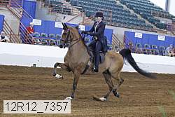 12r12_7357 proof